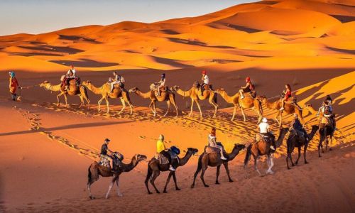What to do in Morocco: sahara desert