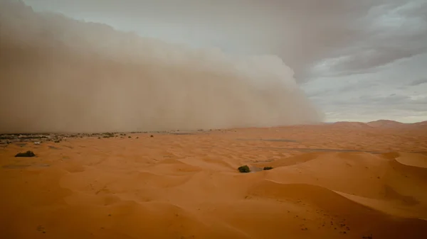 how to survive to sahara sand storm