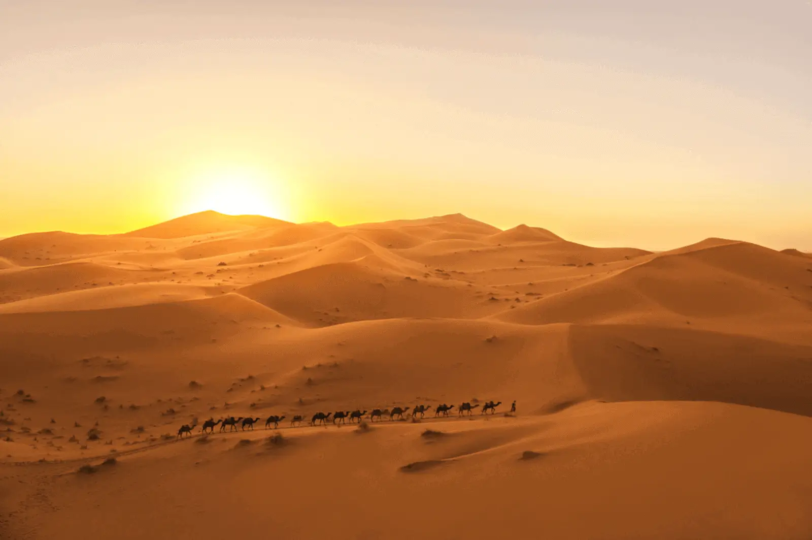 Read more about the article Sahara Desert in Morocco