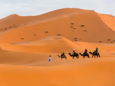 Fes to Marrakech desert tour 3 days