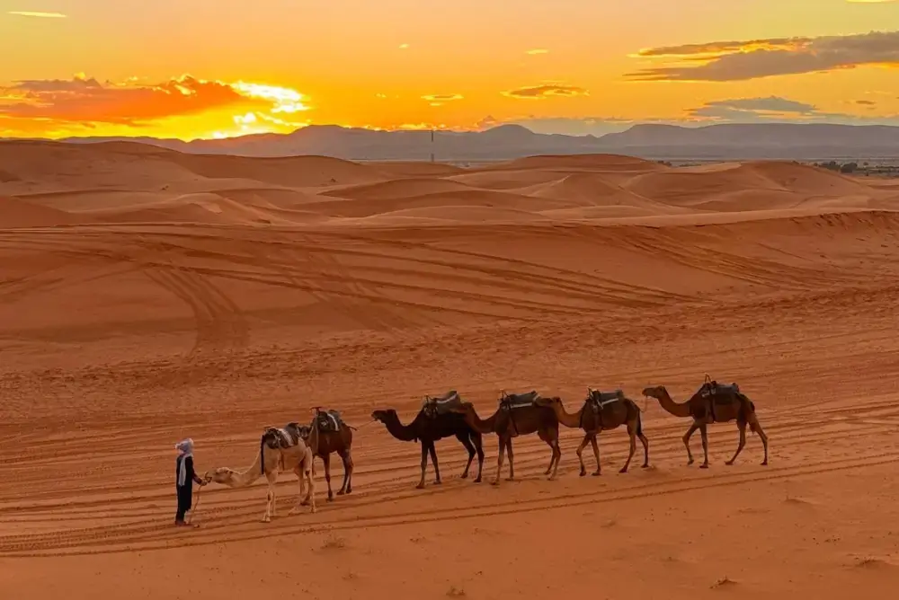 Shared 3 days desert tour from Marrakech