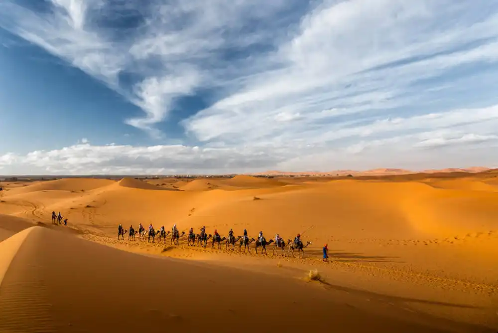 Camel caravan in Erg Chebbi on Marrakech itinerary 7 days Sahara tour