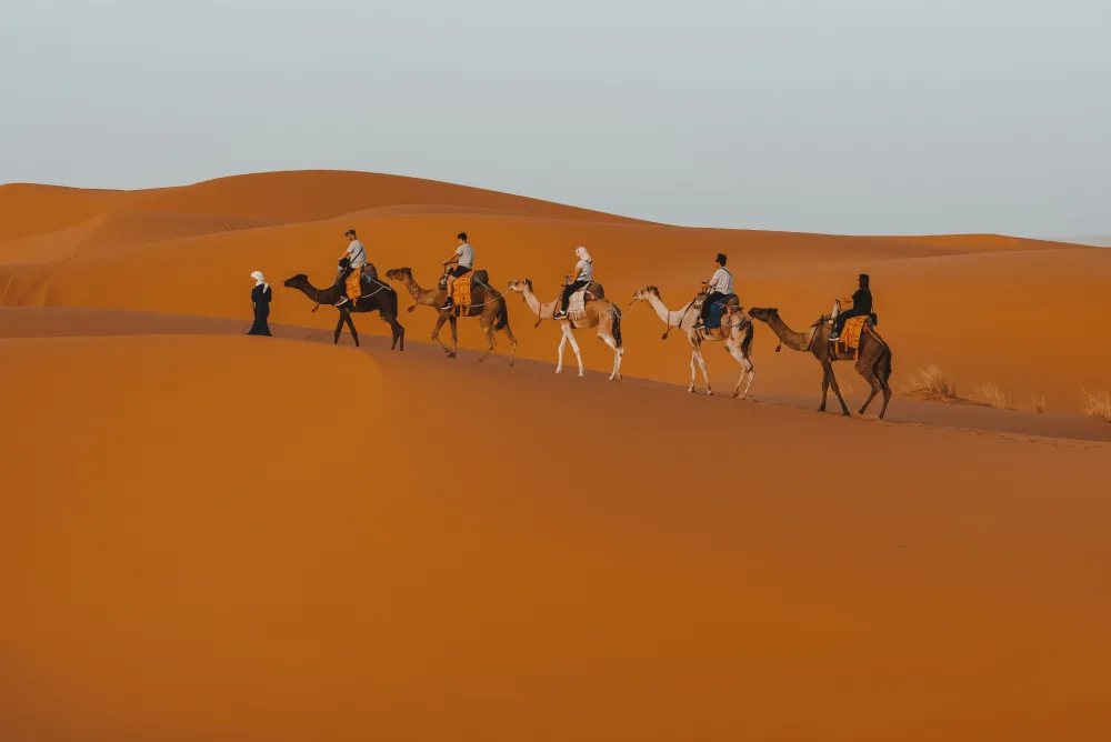 Camel trek in Erg Chebbi on Sahara Desert 8-Day Morocco Tour