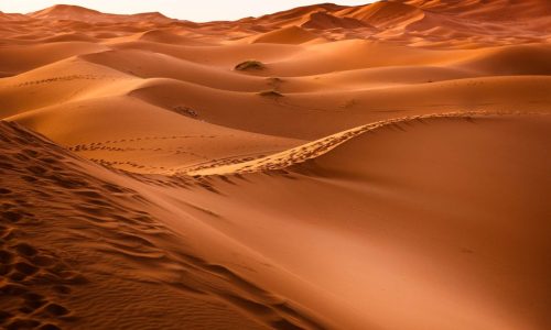 MERZOUGA DESERT MOROCCO