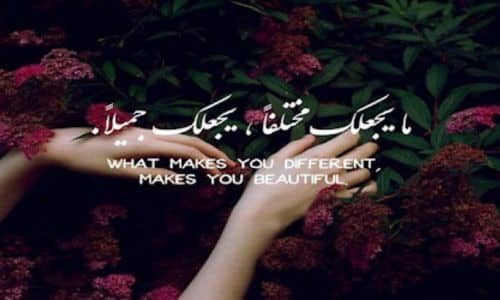 Arabic Proverbs