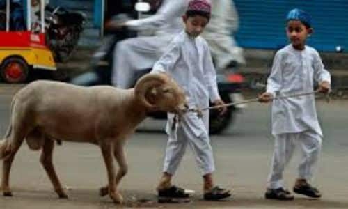 feast-of-sacrifice-morocco